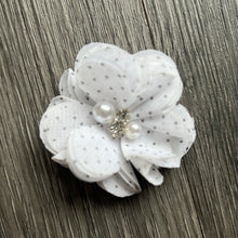 Load image into Gallery viewer, Best of the Bunch - more colours