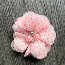 Load image into Gallery viewer, Best of the Bunch - more colours