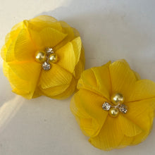 Load image into Gallery viewer, Best of the Bunch - more colours