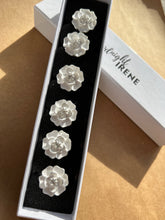 Load image into Gallery viewer, Black Cat - more colour options