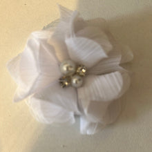 Load image into Gallery viewer, Best of the Bunch - more colours