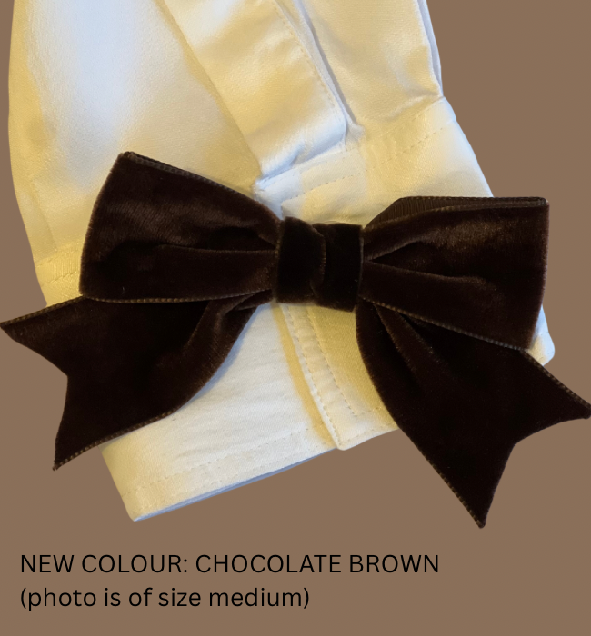 Medium Luxury Velvet Bow - many colours
